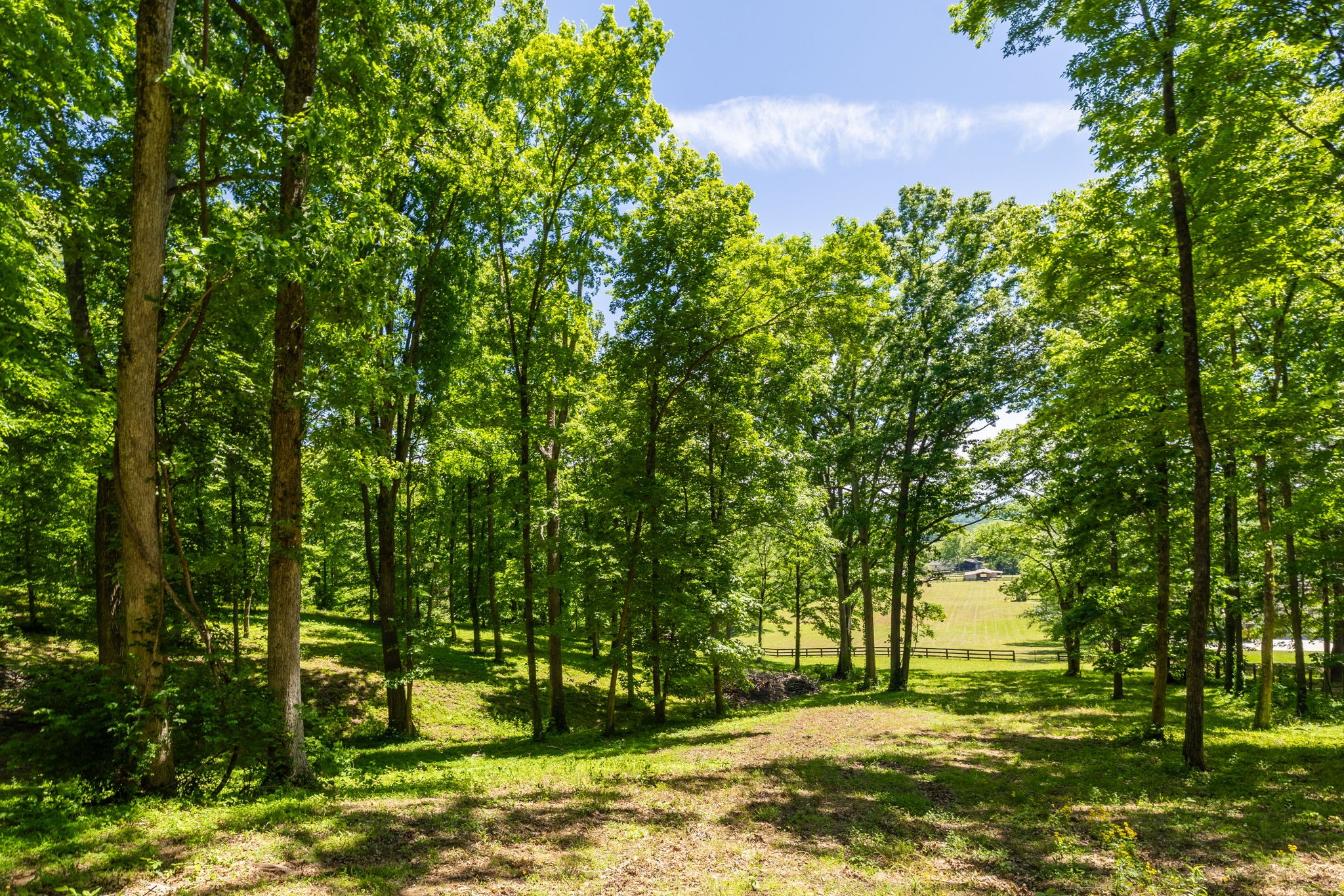 1496 Coleman Road Franklin, TN 37064 - Photo 66 of 73