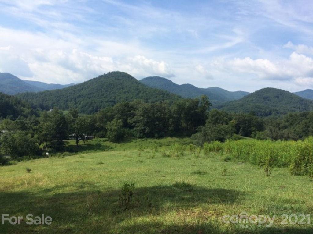 648 Cullowhee Mountain Road Cullowhee, NC 28723 - Photo 2 of 7 Gallery Image 2