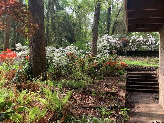 $4,400 | 20868 Bay Shore Drive, Flint, TX 75762