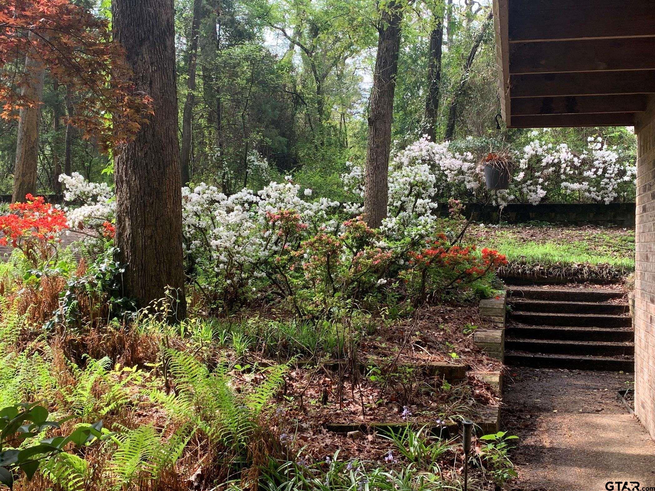 20868 Bay Shore Drive Flint, TX 75762 - Photo 22 of 24