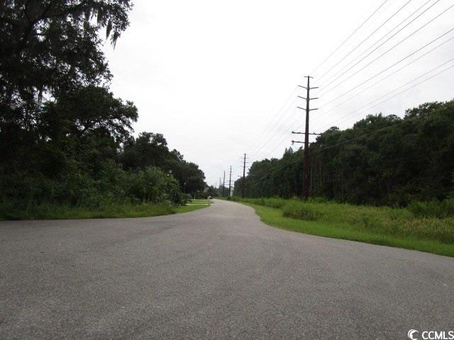 Jason Drive Pawleys Island, SC 29585 - Photo 4 of 6