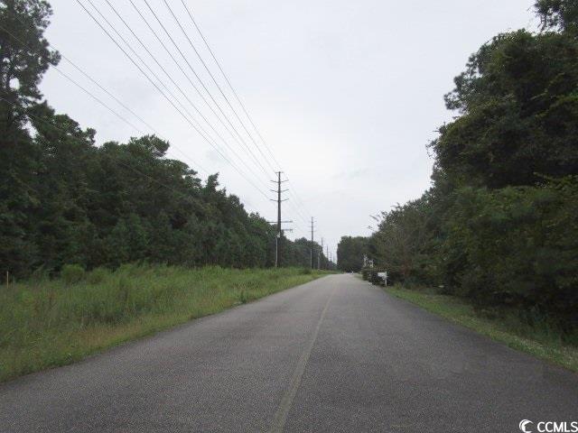 Jason Drive Pawleys Island, SC 29585 - Photo 6 of 6