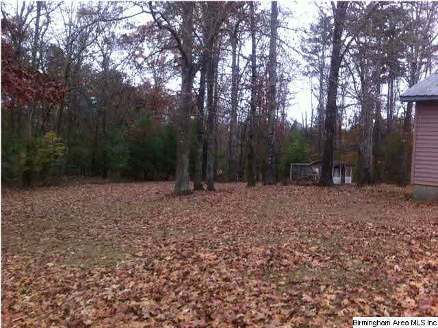 659 Cherokee Trail Ohatchee, AL 36271 - Photo 3 of 7