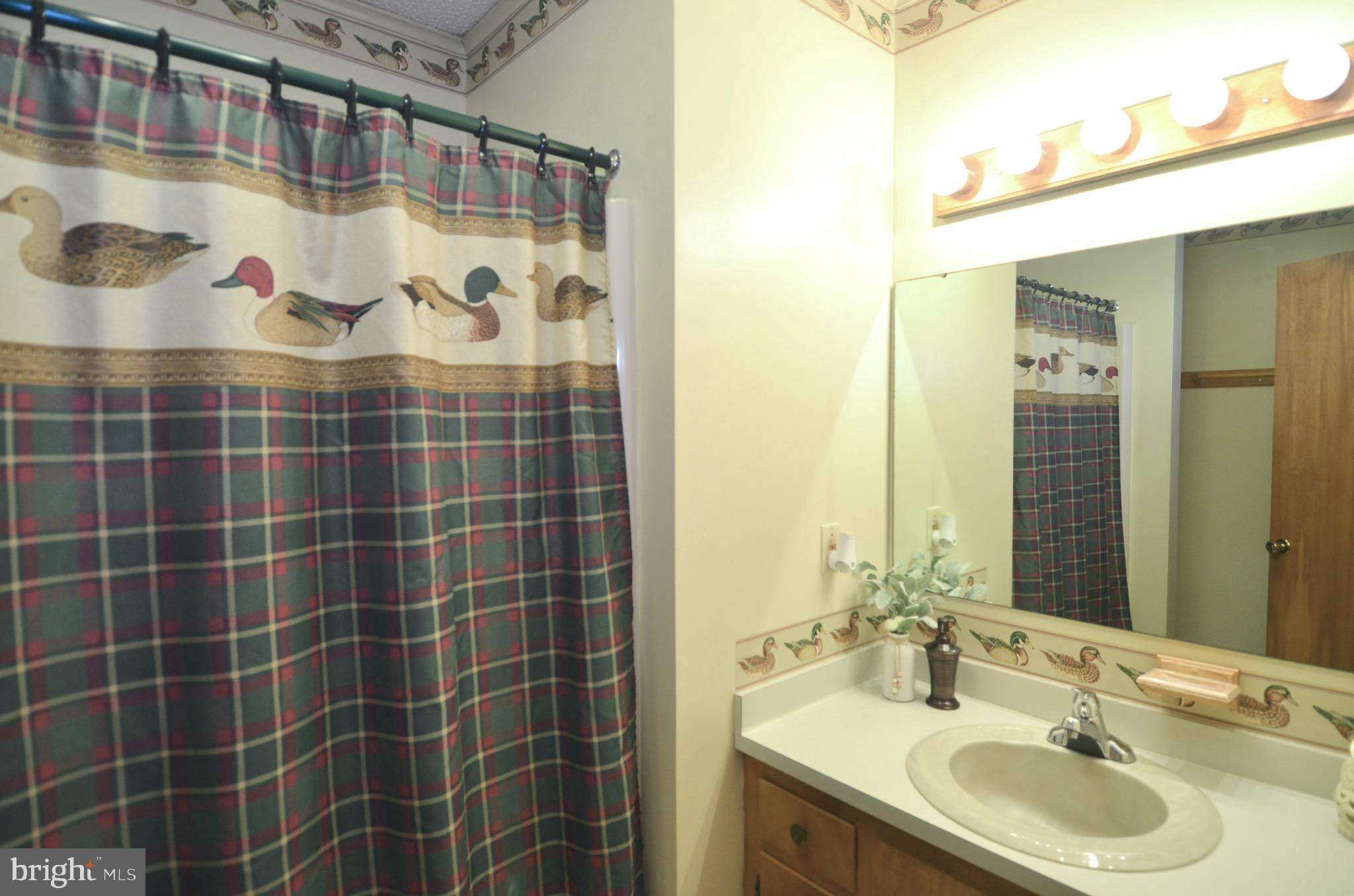 31035 Carioca Road Delmar, MD 21875 - Photo 21 of 32 Bathroom 2 in Hallway