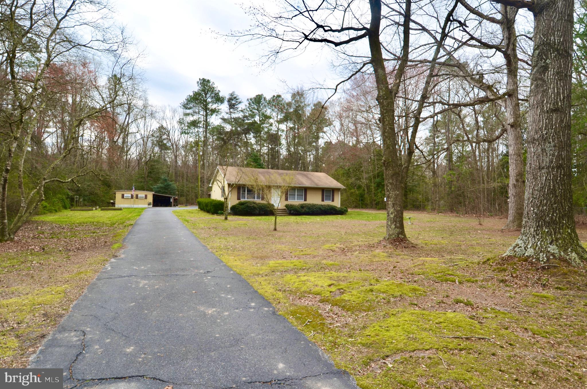 31035 Carioca Road Delmar, MD 21875 - Photo 24 of 32 Front Yard