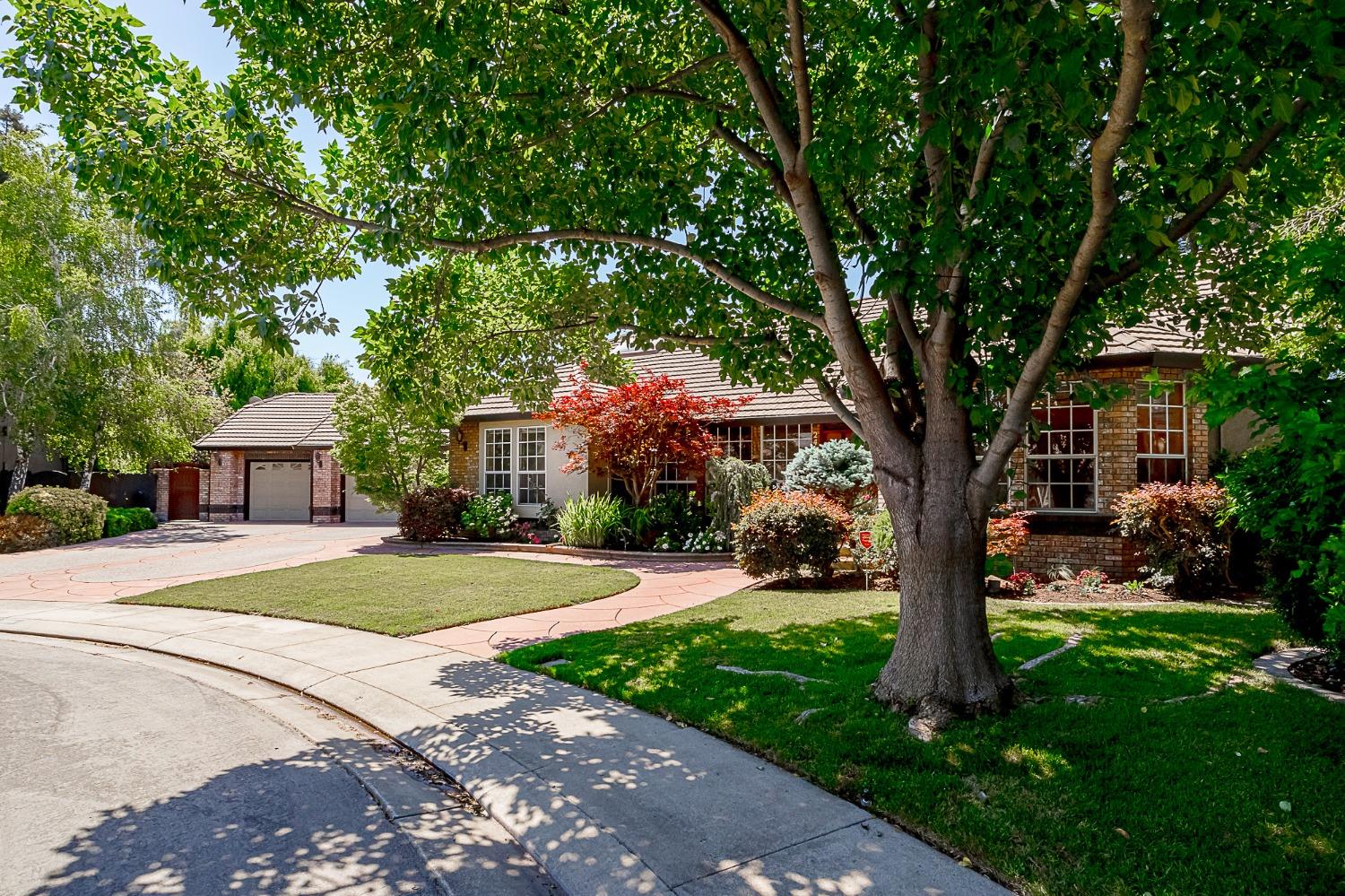 a tree in front of a white house