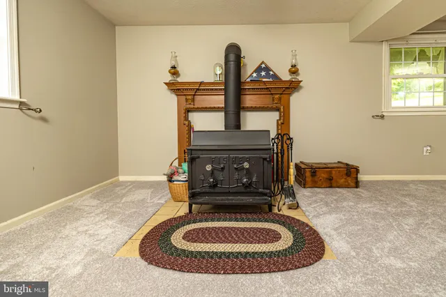 a view of a backyard with plants and a patio
