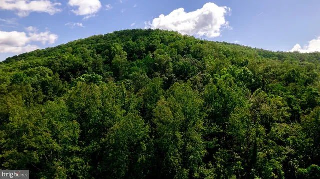 $849,999 | 4179 Fiery Run Road, Linden, VA 22642