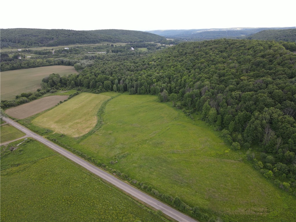 Lot 9 Summit Road Cuba, NY 14727 - Photo 8 of 22