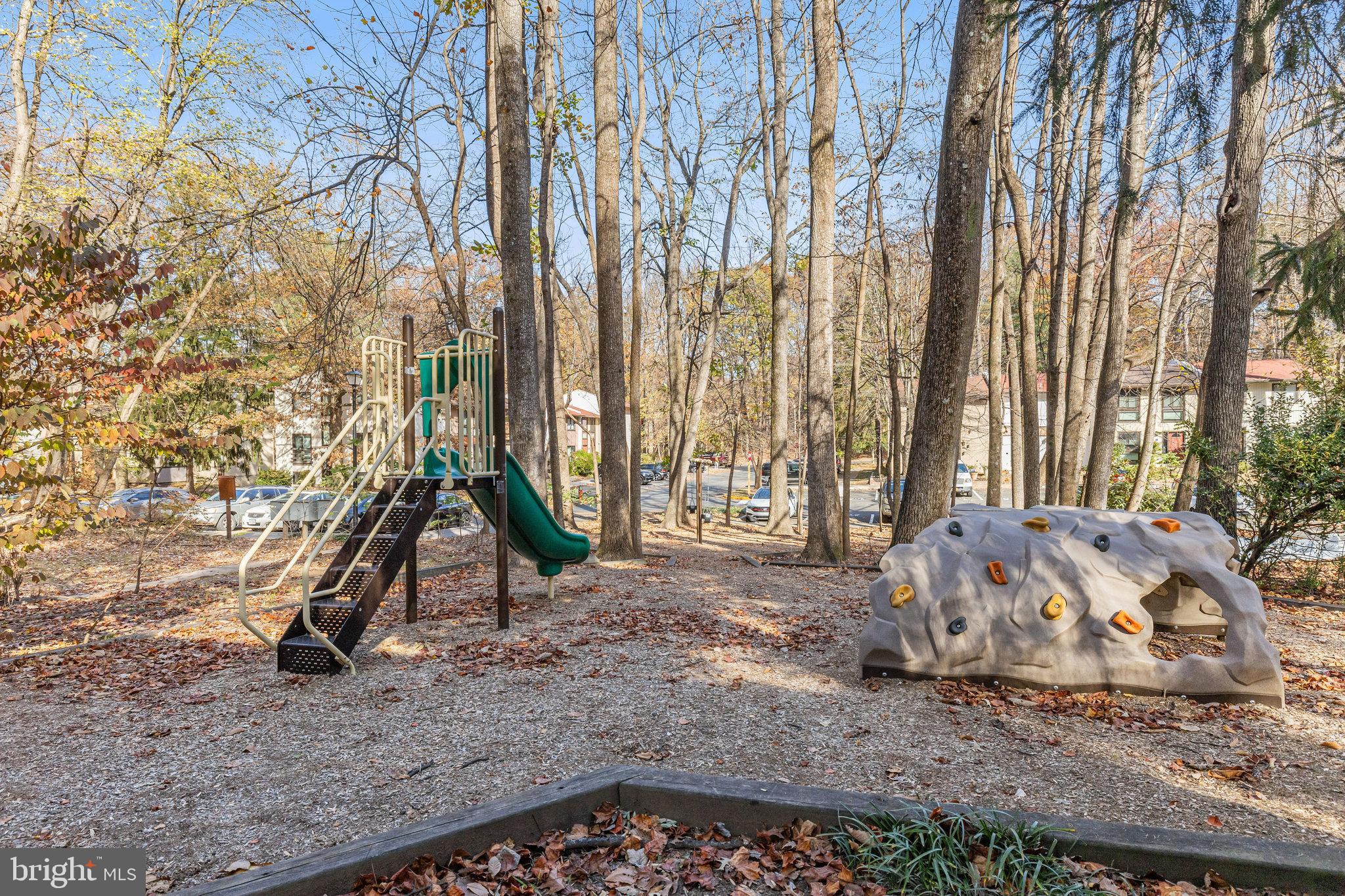 2406 Cloudcroft Square Reston, VA 20191 - Photo 48 of 48 Gallery Image 48