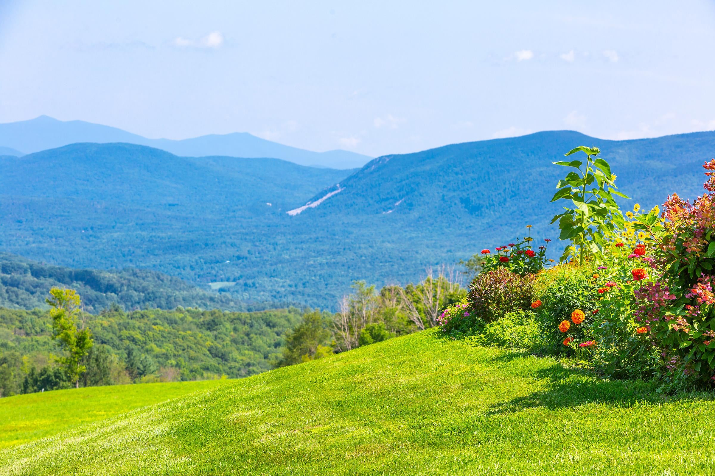2994 Colvin Hill Road Danby, VT 05739 - Photo 3 of 12 Gallery Image 3