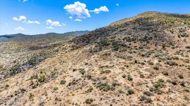 a close up of a plant