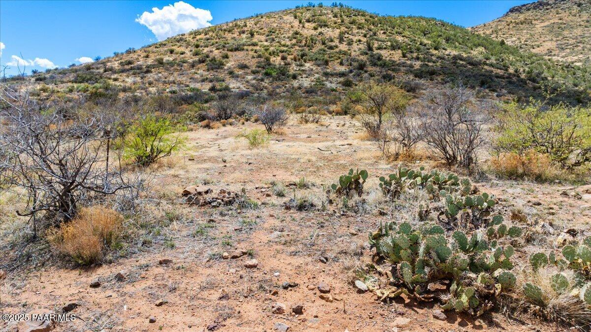 0 West Well Springs Road Skull Valley, AZ 86338 - Photo 21 of 24 a view of a yard with a tree