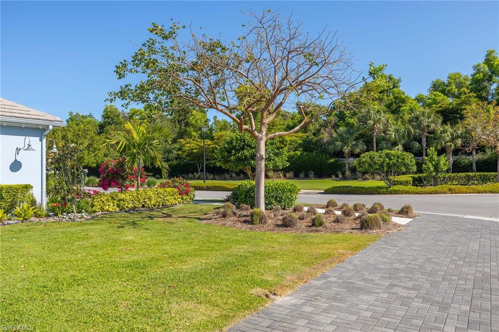 5626 Elbow Avenue Naples, FL 34113 - Photo 3 of 48 a view of a swimming pool with a lawn chairs and plants