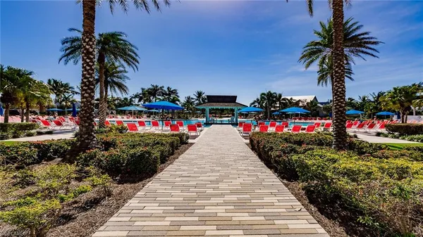 a view of a park with palm trees