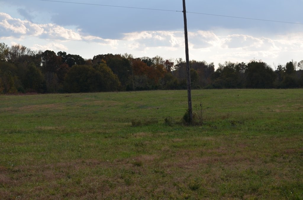 711 Abercrombie Road Honea Path, SC 29654 - Photo 9 of 35