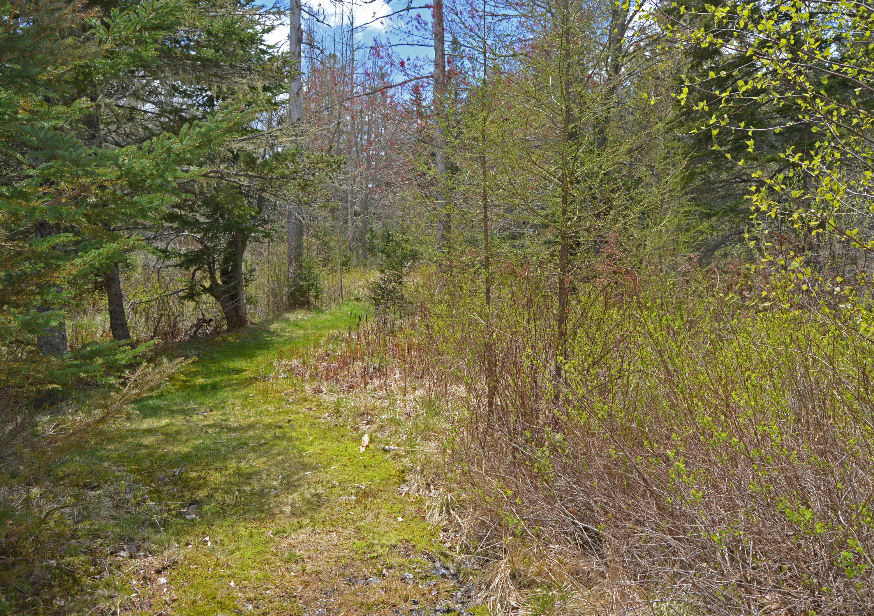 33 Post Office Road Hancock, ME 04640 - Photo 24 of 30 BaileyWoodPath
