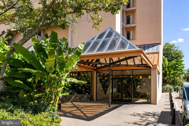 a view of a patio with couches and potted plants