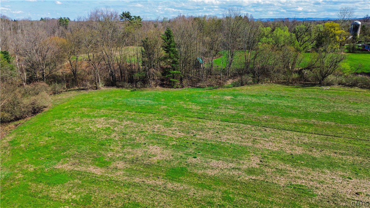 0 Lake Road Hamilton, NY 13346 - Photo 16 of 21