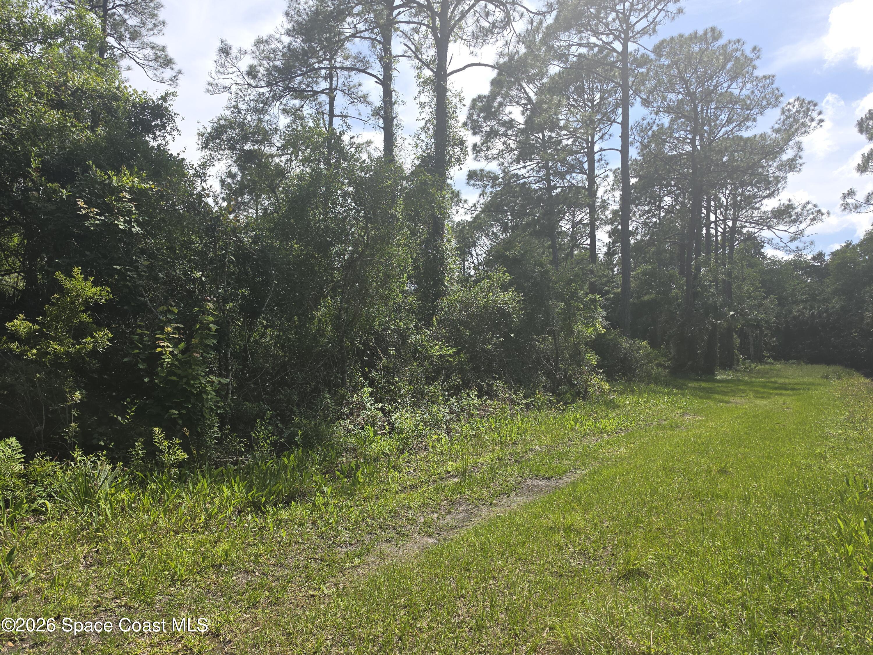 0 Spanks Street Mims, FL 32754 - Photo 5 of 6 a big yard with lots of green space and trees