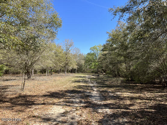 3163 River Road Vernon, FL 32462 - Photo 35 of 48