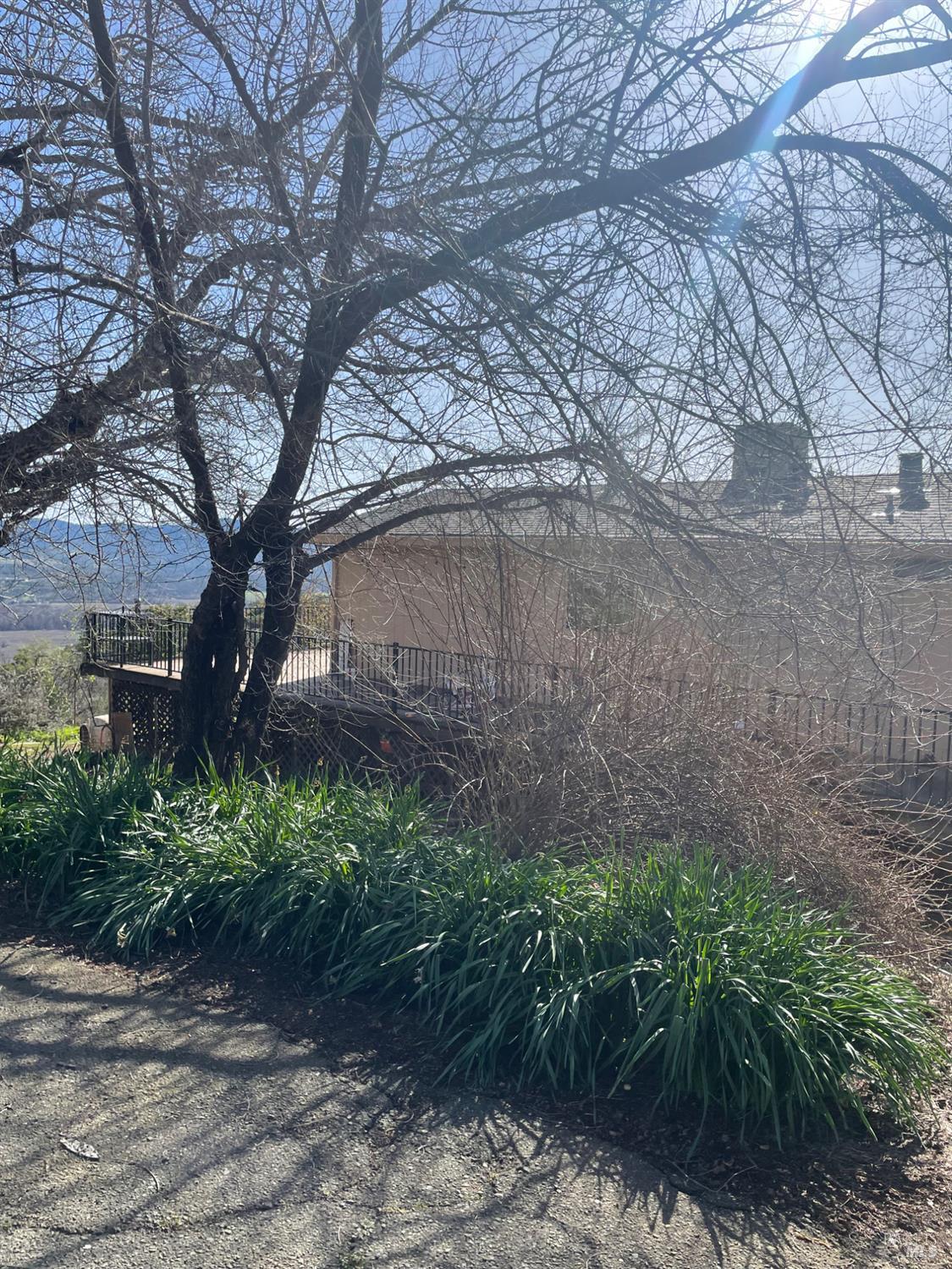 7630 Walnut Lane Lower Lake, CA 95457 - Photo 11 of 11 a tree in the garden