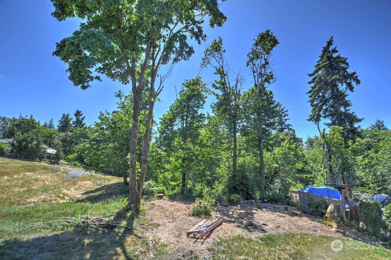 3583 East R Street Tacoma, WA 98404 - Photo 29 of 29 a backyard of a house with lots of green space