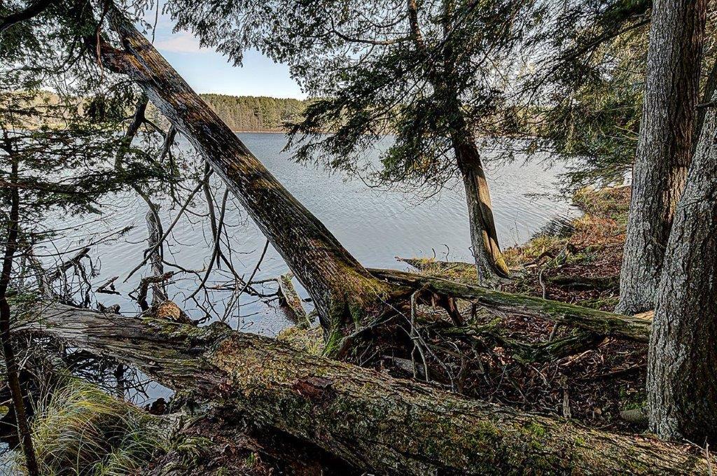 Lot # Timber Wolf Road Presque Isle, WI 54557 - Photo 7 of 16 Gallery Image 7
