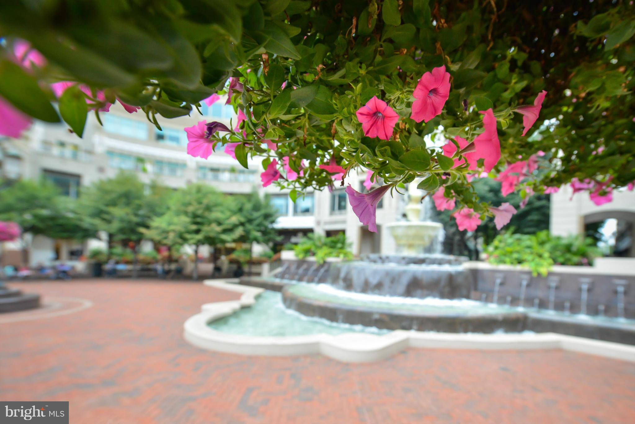 2216 Lofty Heights Place Reston, VA 20191 - Photo 25 of 28 Exterior (General)