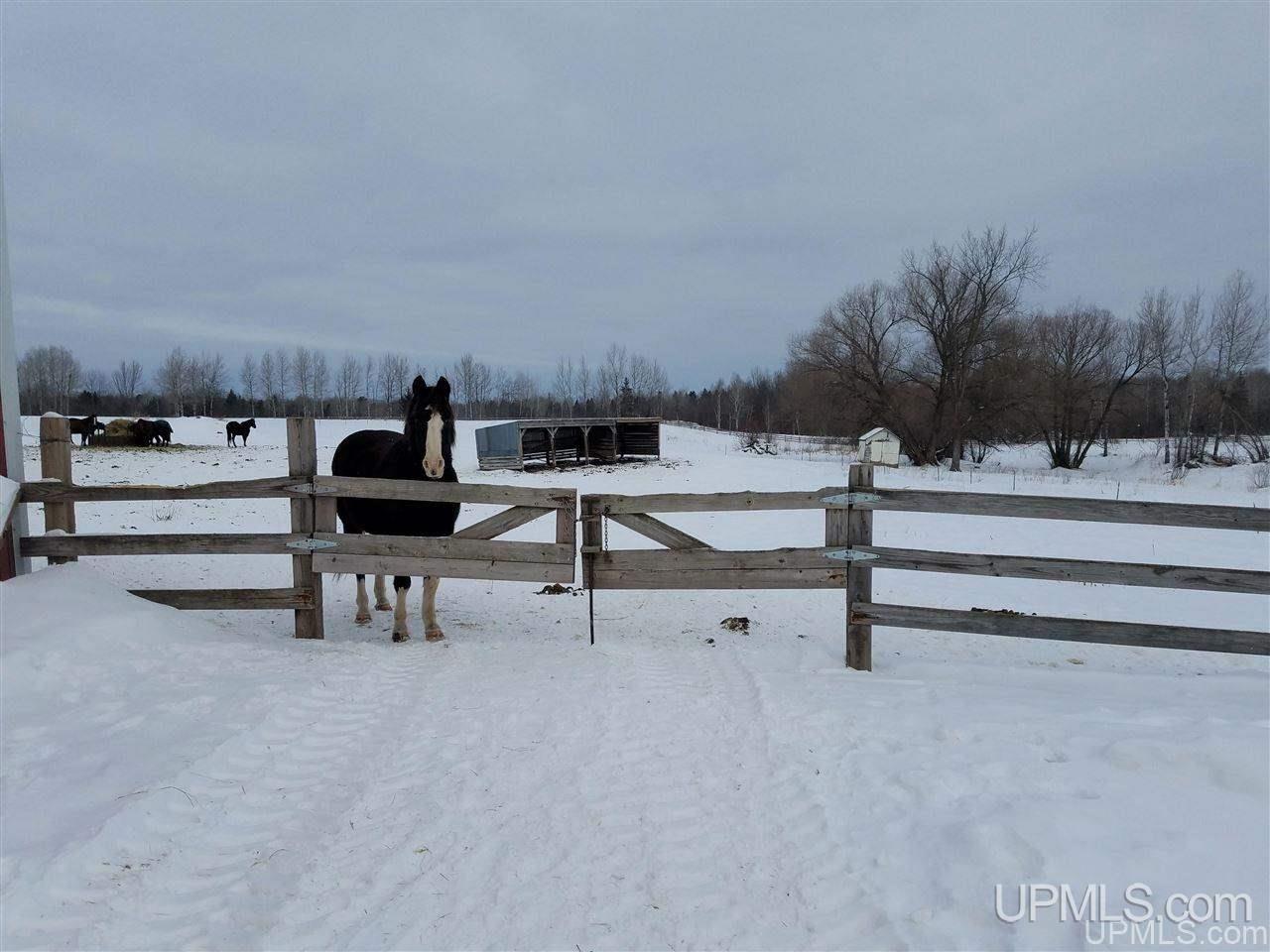 14211 North Stateline Road Hurley, WI 54534 - Photo 44 of 50