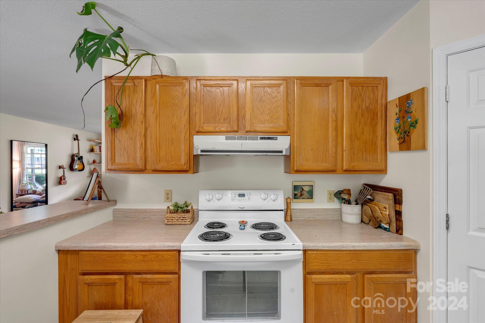 634 Dillingham Road, Unit B Barnardsville, NC 28709 - Photo 17 of 32 a kitchen with a stove a sink and a microwave