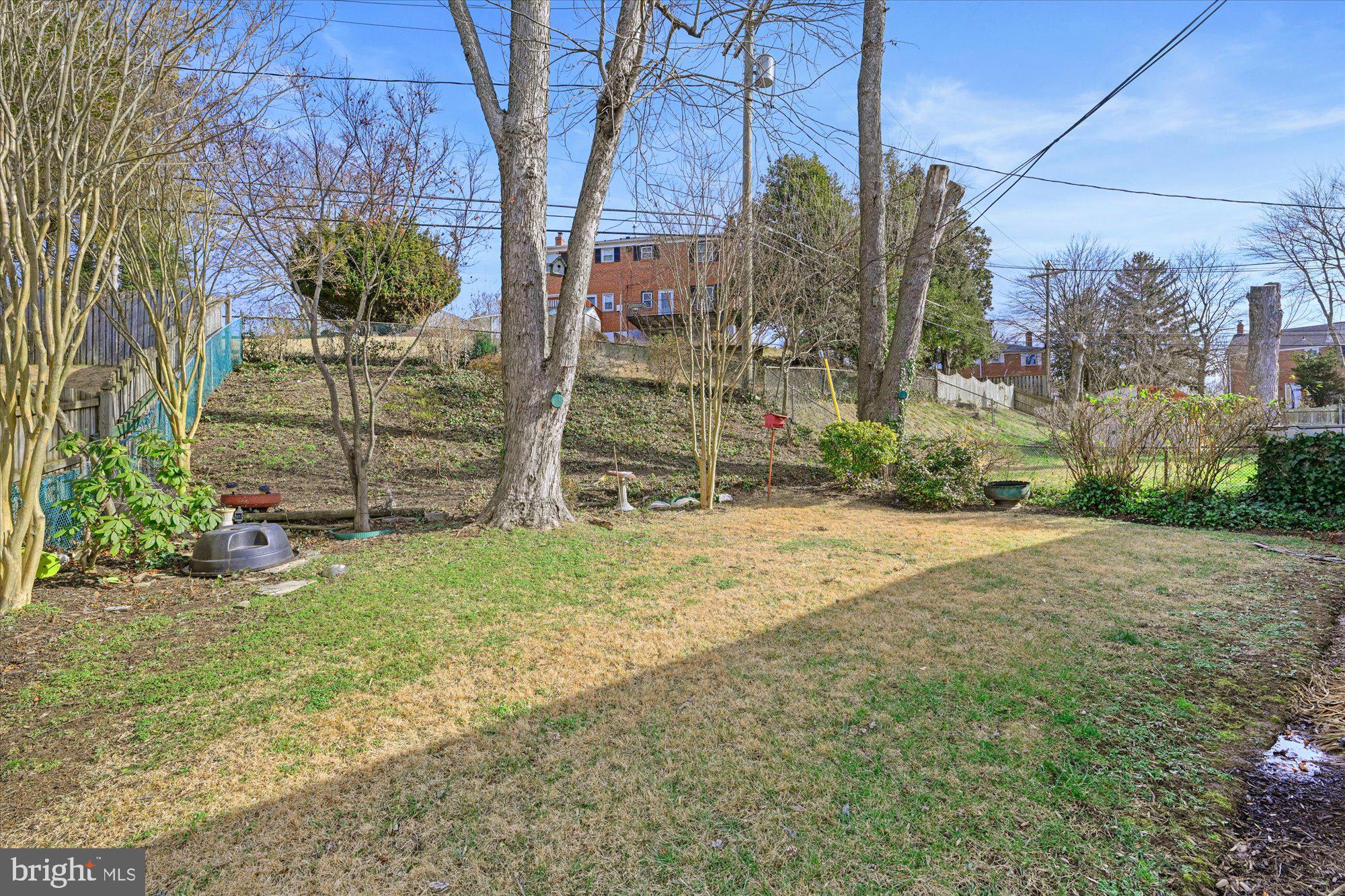 6807 Barnett Road Baltimore, MD 21239 - Photo 22 of 24 Flat yard