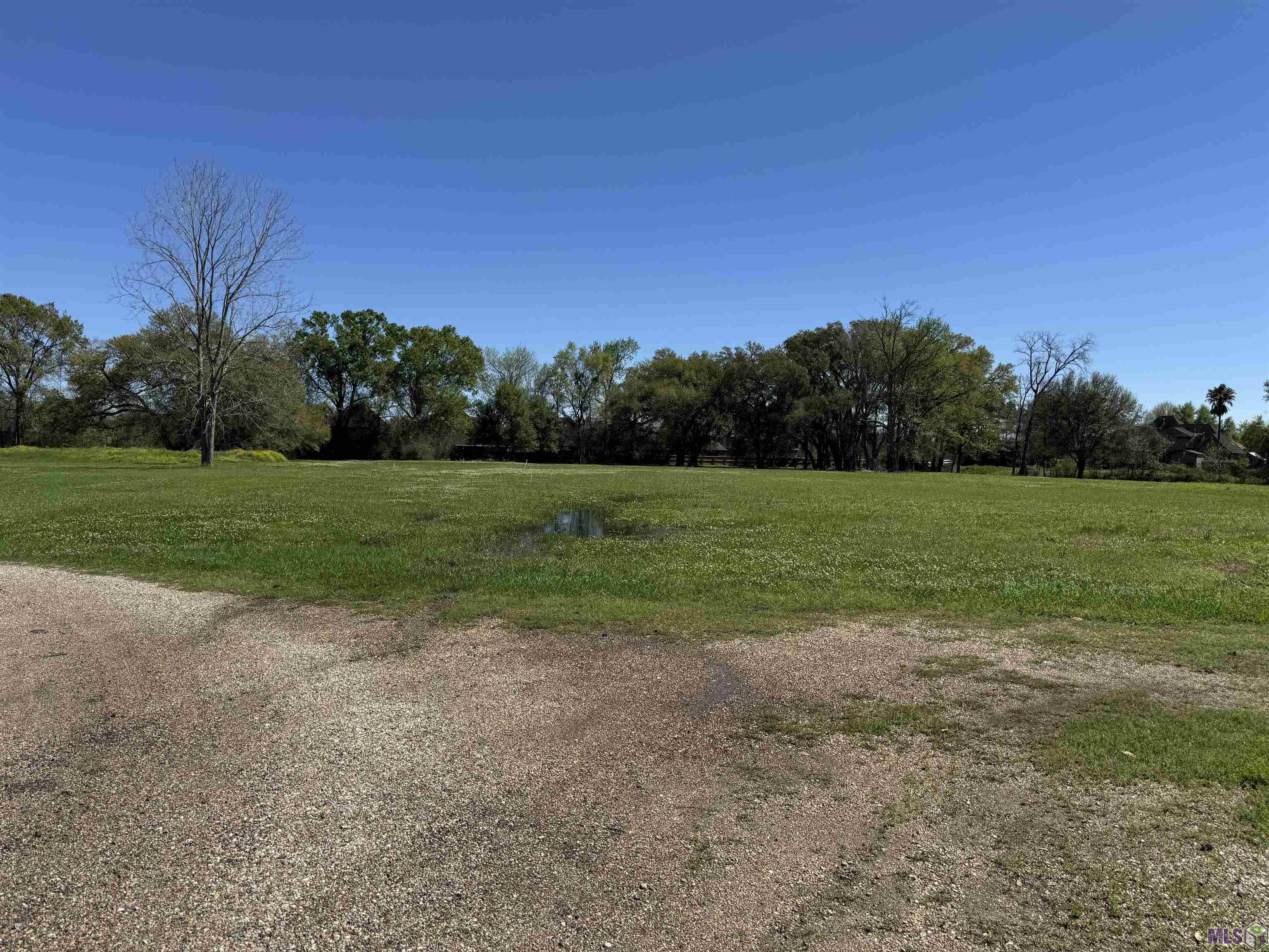 37143 Jackson Oaks Rd. Geismar, LA 70734 - Photo 1 of 2