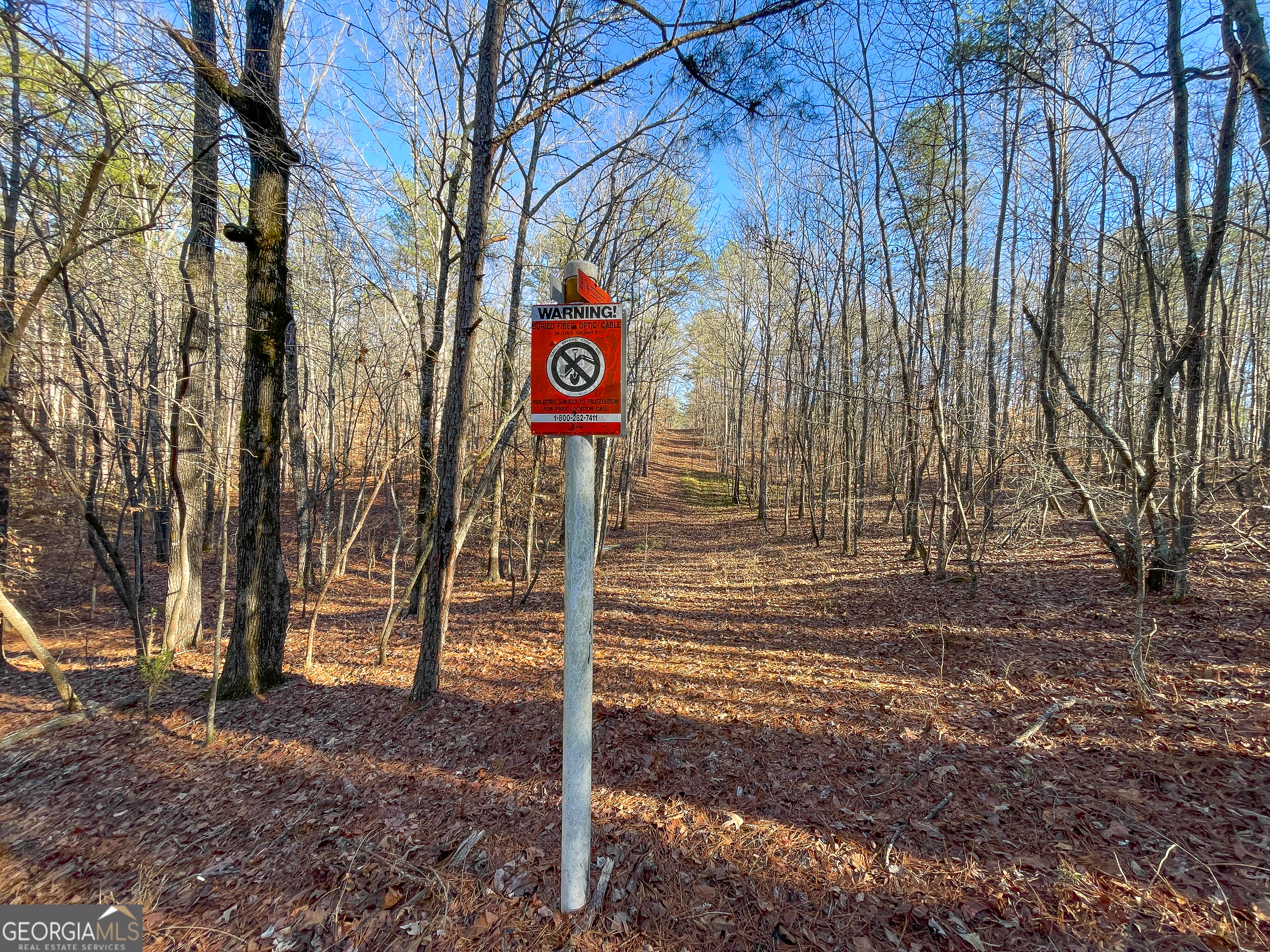 12 Acres On George Green Rd Tract B Tallapoosa, GA 30176 - Photo 11 of 23