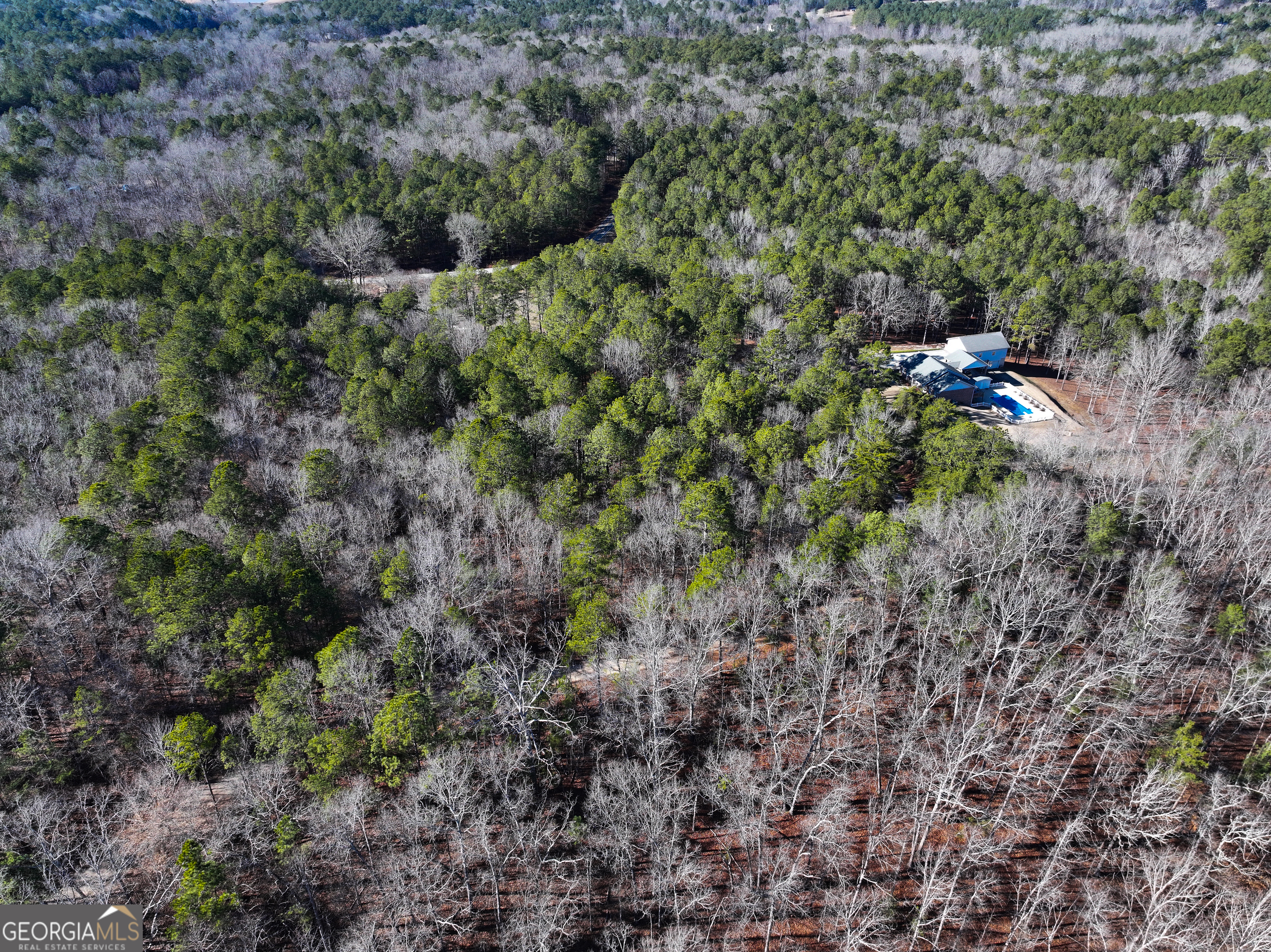 12 Acres On George Green Rd Tract B Tallapoosa, GA 30176 - Photo 14 of 23