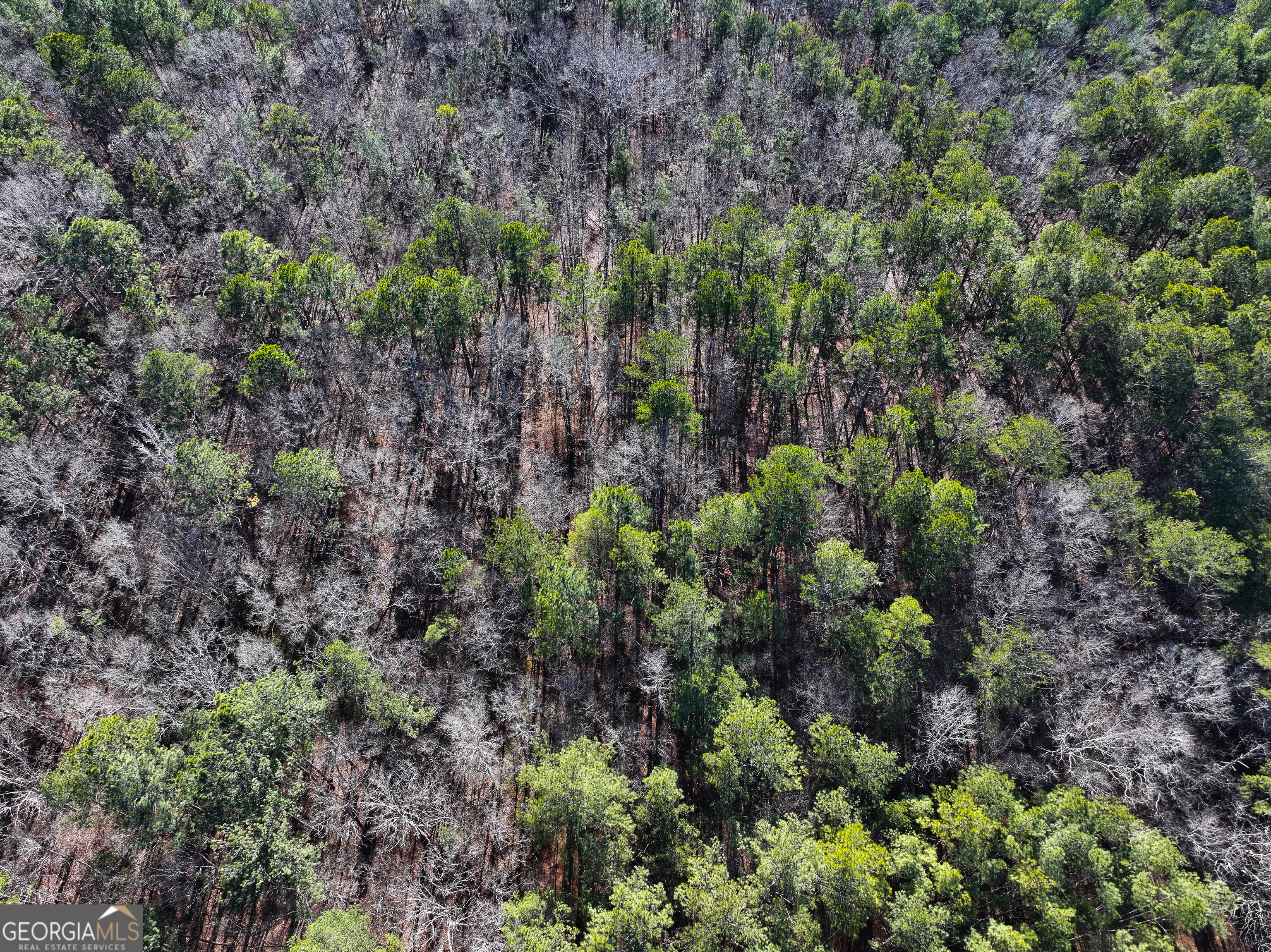 12 Acres On George Green Rd Tract B Tallapoosa, GA 30176 - Photo 18 of 23