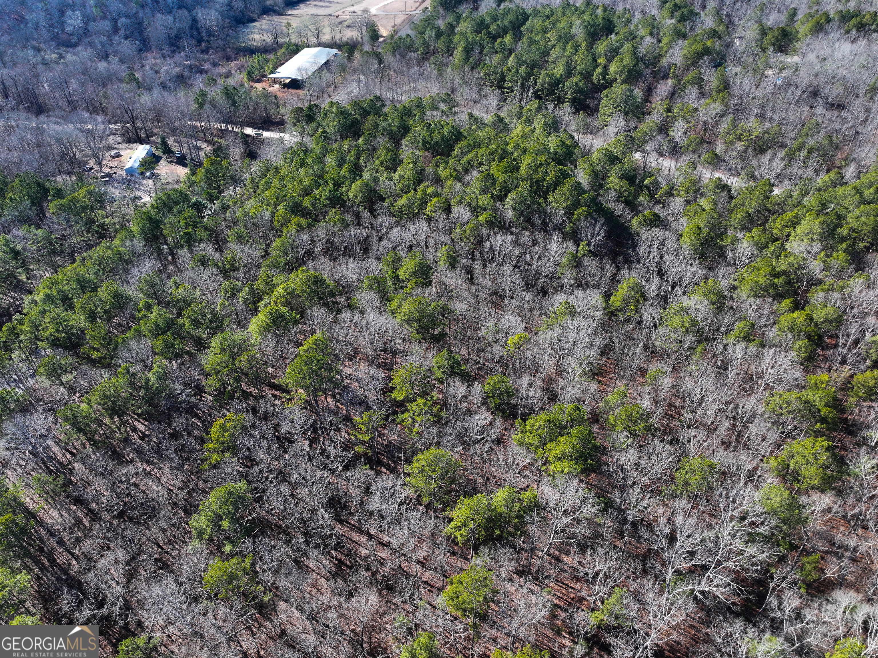 12 Acres On George Green Rd Tract B Tallapoosa, GA 30176 - Photo 20 of 23