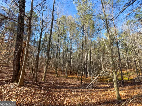 $110,000 | 12 Acres On George Green Rd Tract B, Tallapoosa, GA 30176
