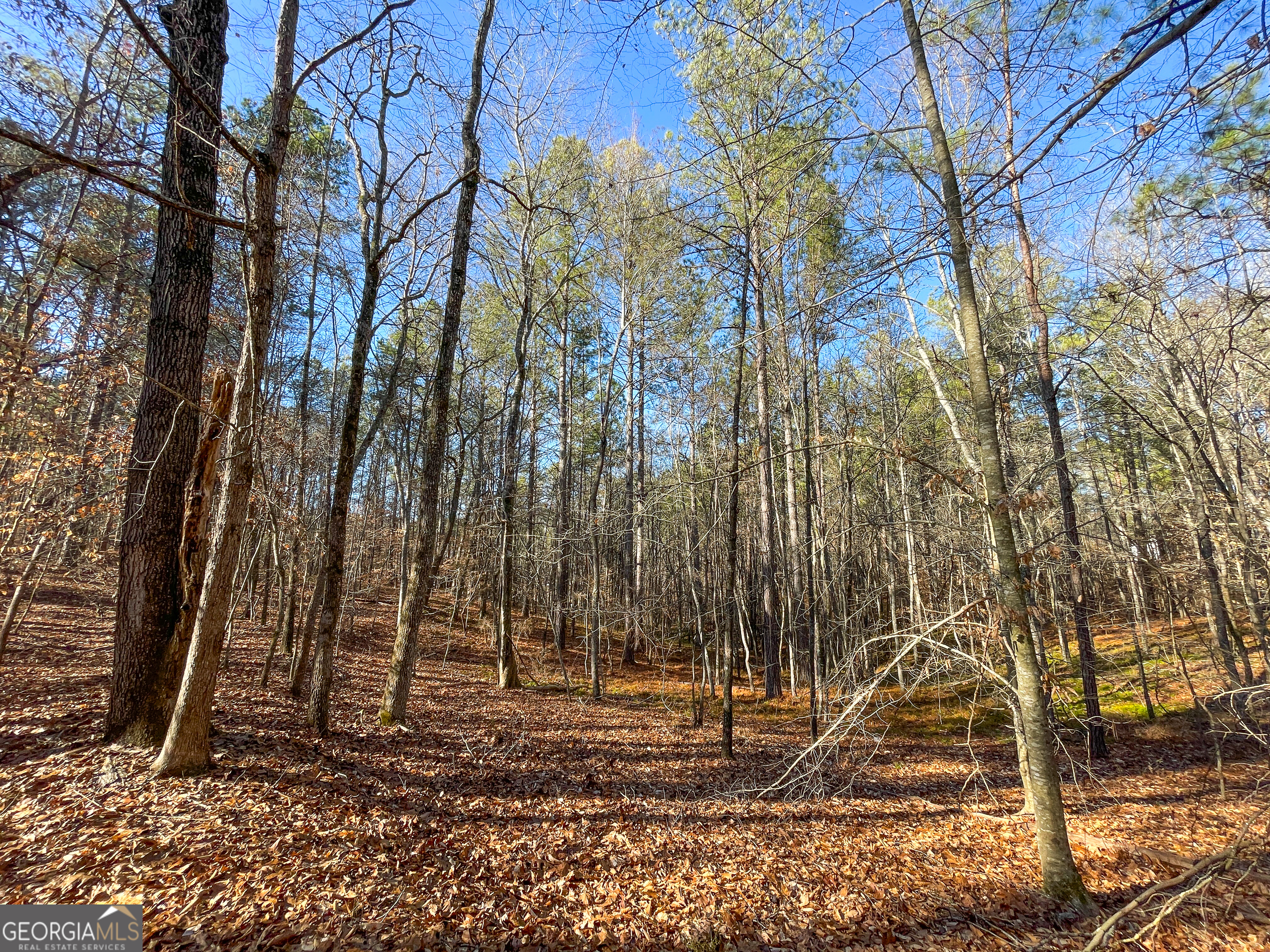 12 Acres On George Green Rd Tract B Tallapoosa, GA 30176 - Photo 21 of 23