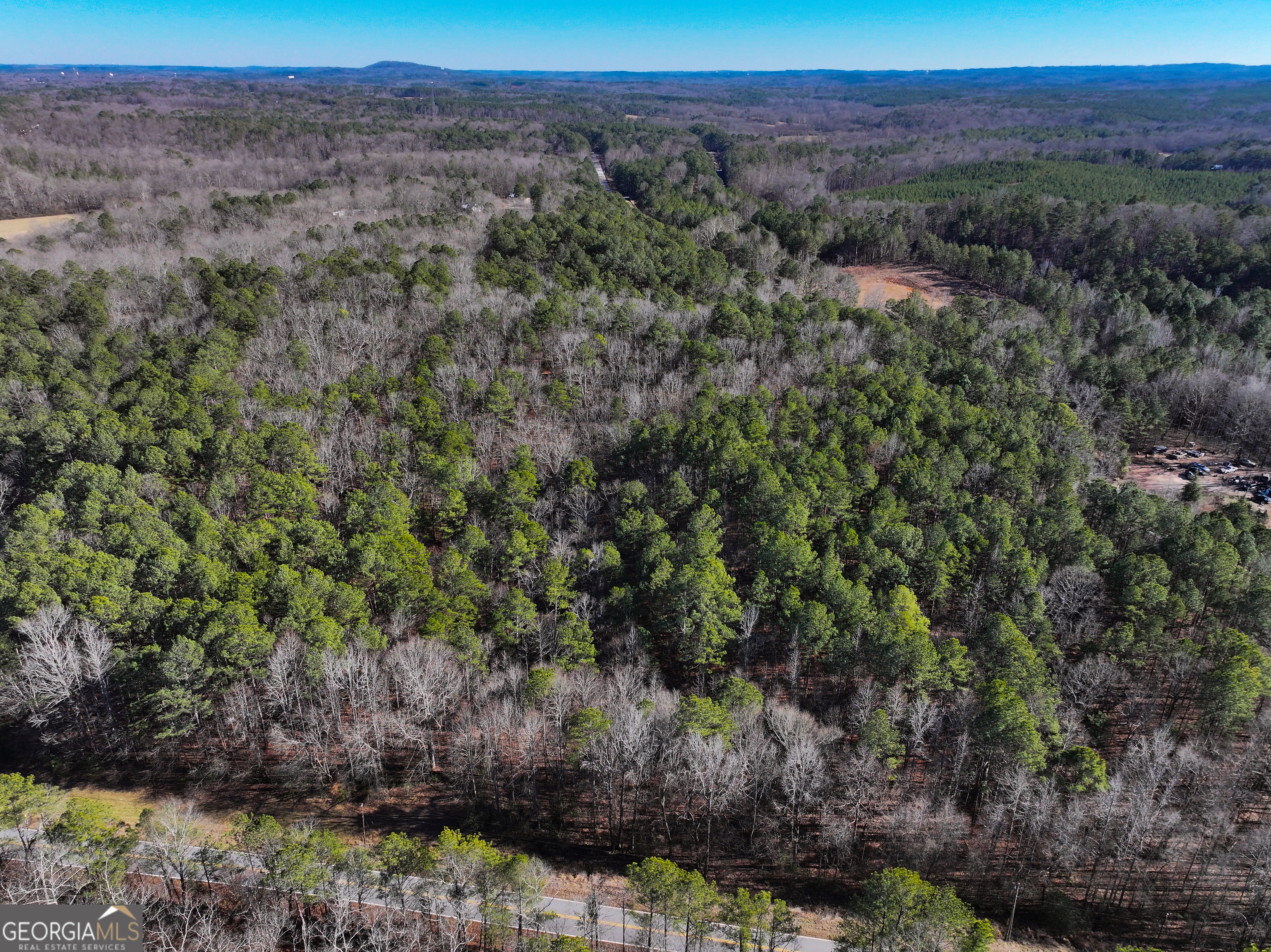 12 Acres On George Green Rd Tract B Tallapoosa, GA 30176 - Photo 4 of 23