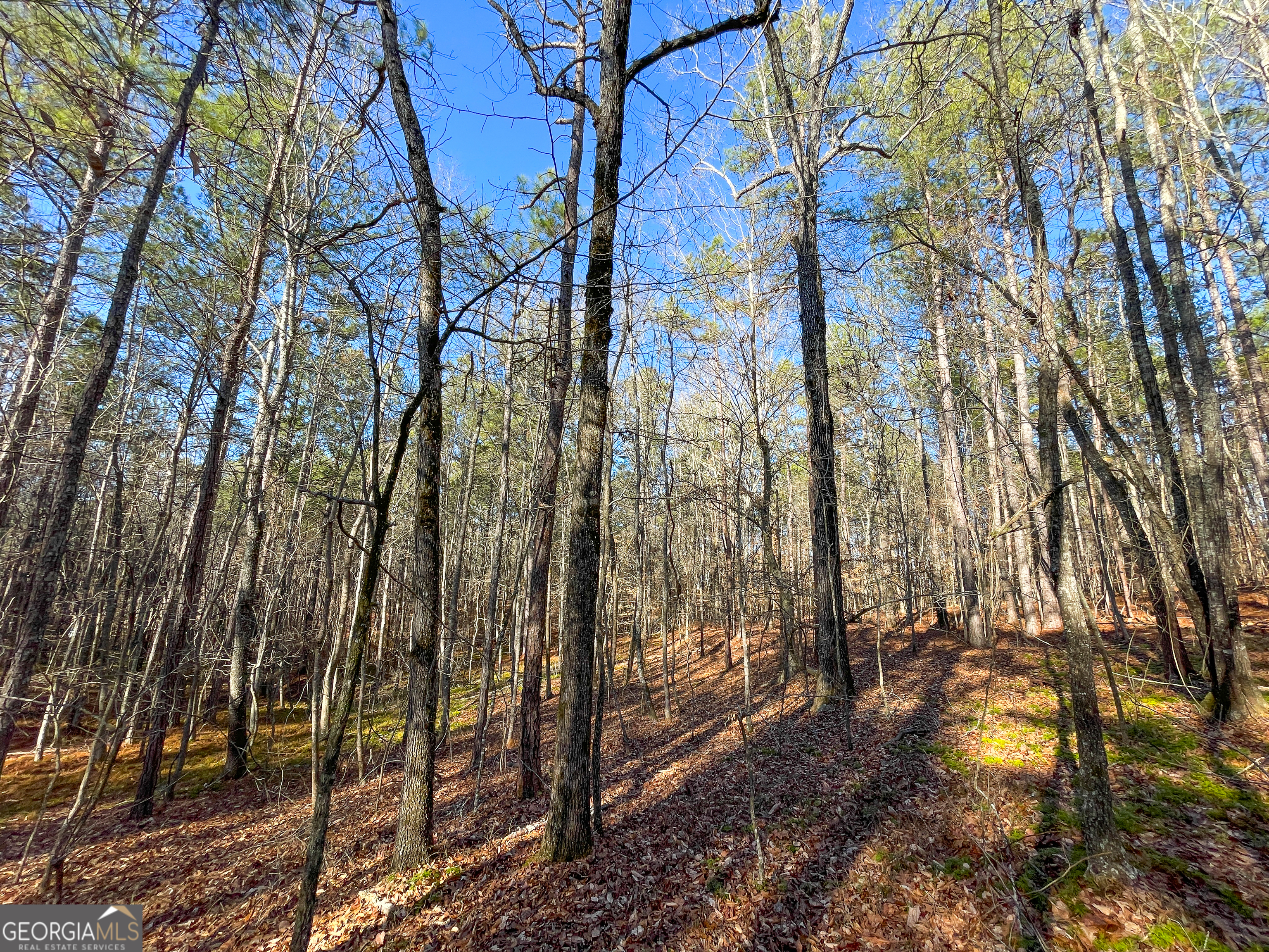 12 Acres On George Green Rd Tract B Tallapoosa, GA 30176 - Photo 5 of 23