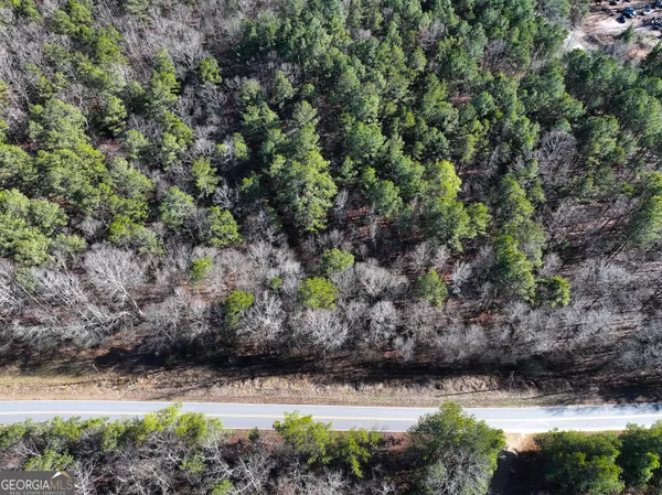 a view of yard with large tree