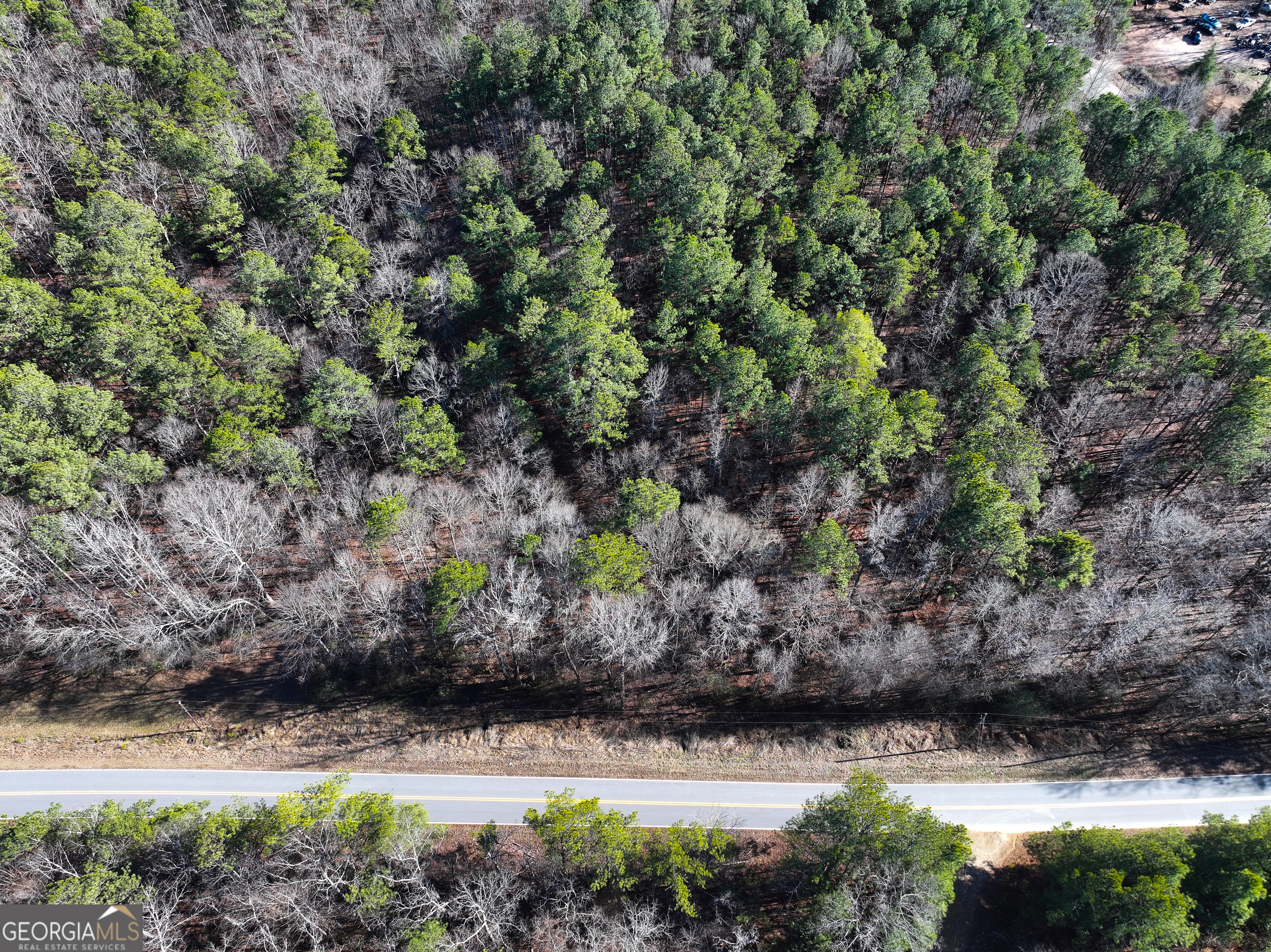 12 Acres On George Green Rd Tract B Tallapoosa, GA 30176 - Photo 6 of 23