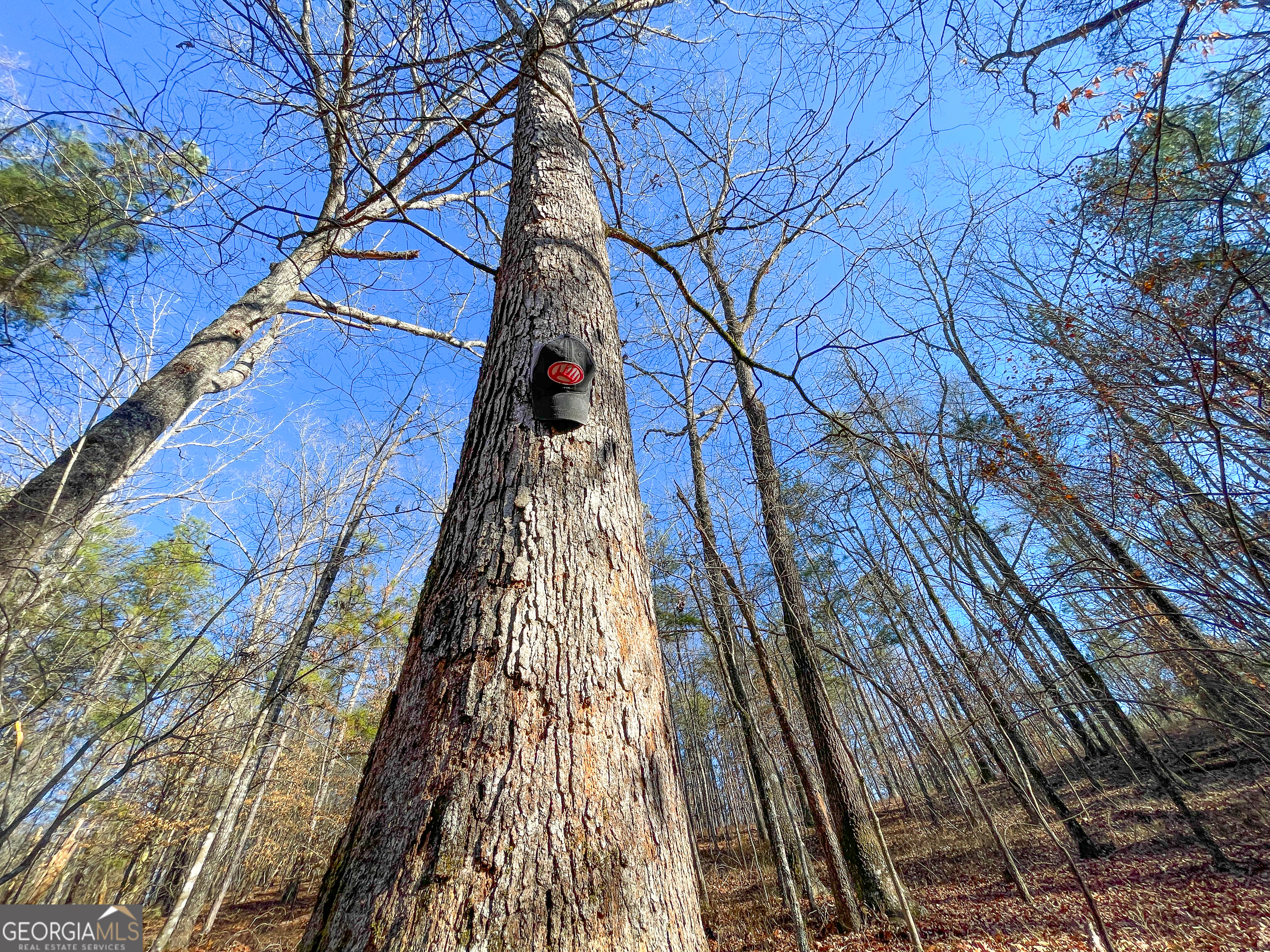 12 Acres On George Green Rd Tract B Tallapoosa, GA 30176 - Photo 7 of 23