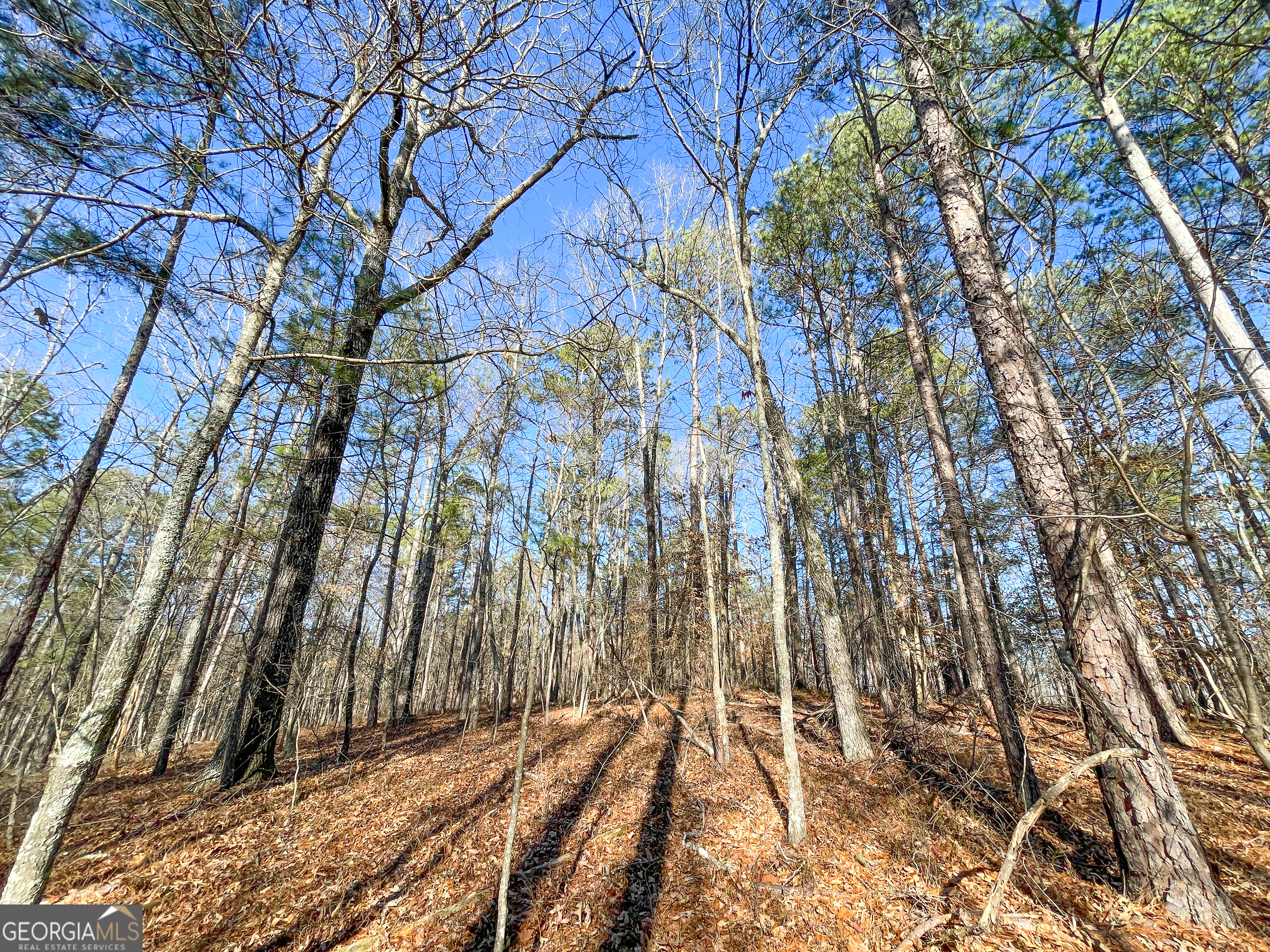 12 Acres On George Green Rd Tract B Tallapoosa, GA 30176 - Photo 9 of 23