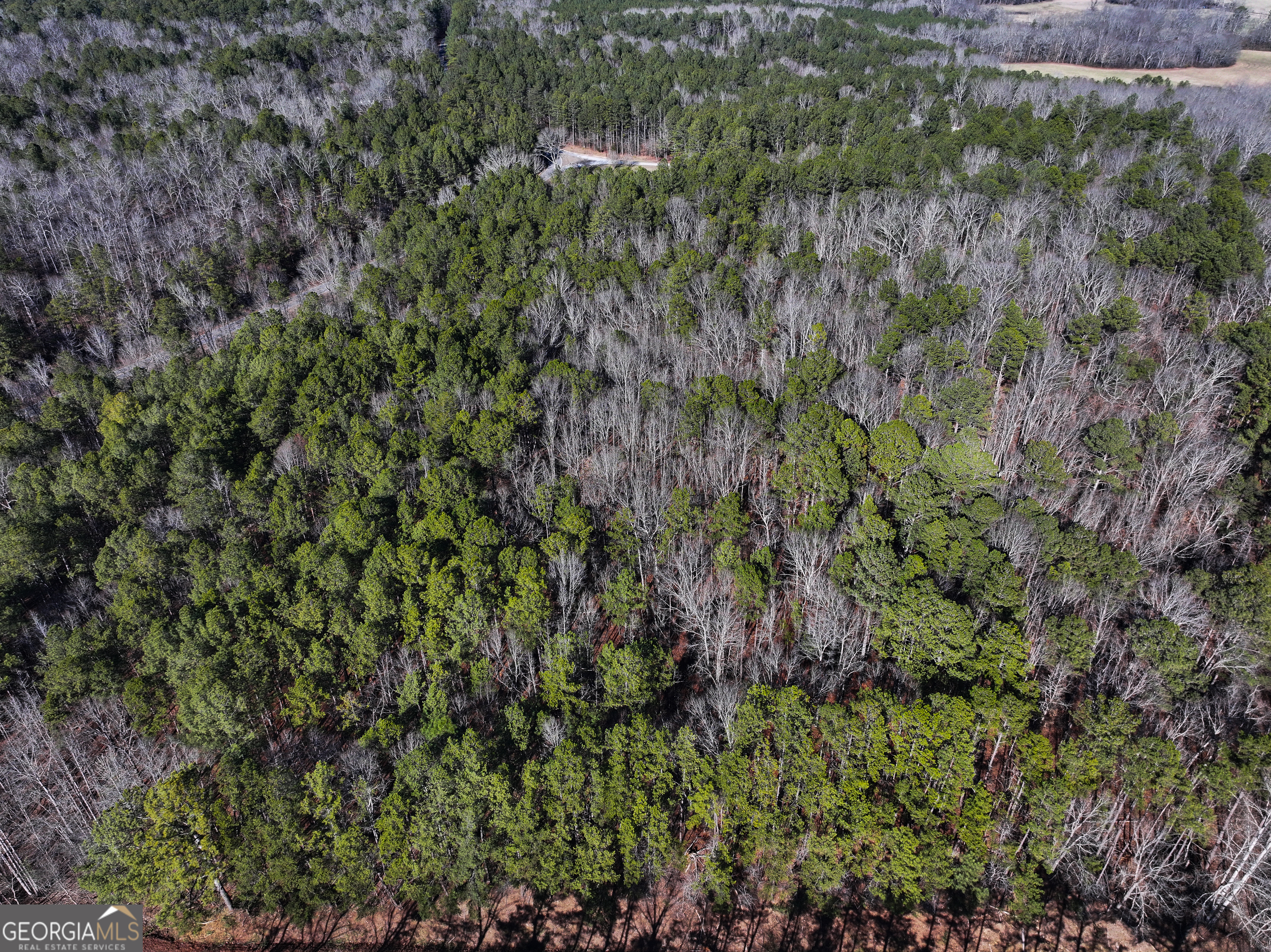 12 Acres On George Green Rd Tract B Tallapoosa, GA 30176 - Photo 10 of 23