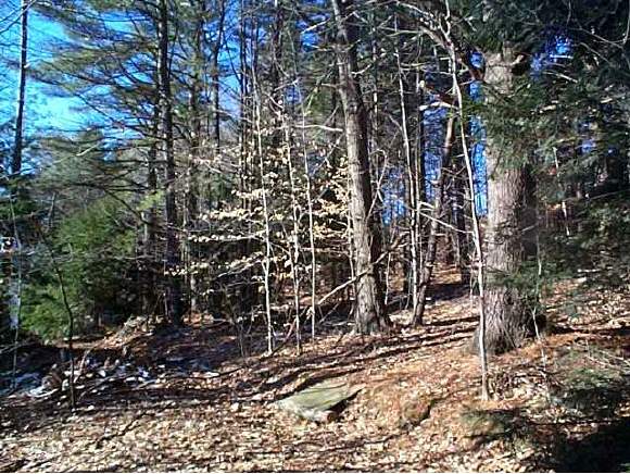 31 Ledgewood Road Claremont, NH 03743 - Photo 1 of 1 Gallery Image 1