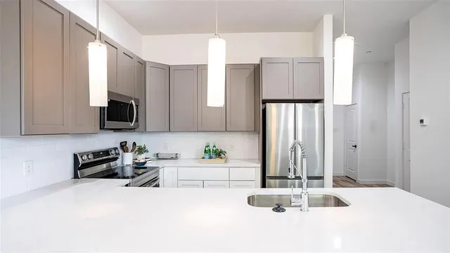 $2,350 | 1028 17th Street, Plano, TX 75074