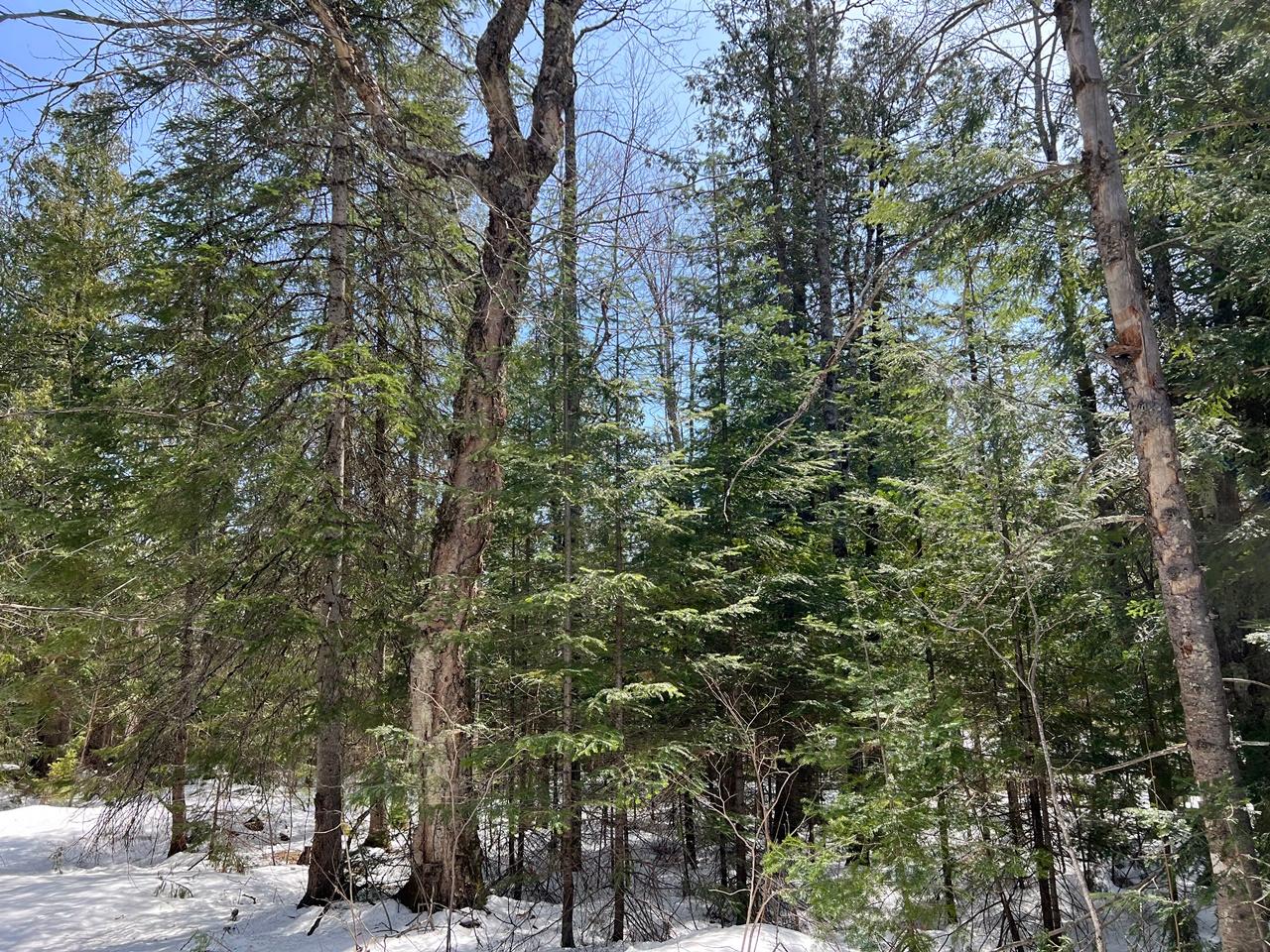 51 Old 51 Road Hurley, WI 54534 - Photo 10 of 16 Gallery Image 10