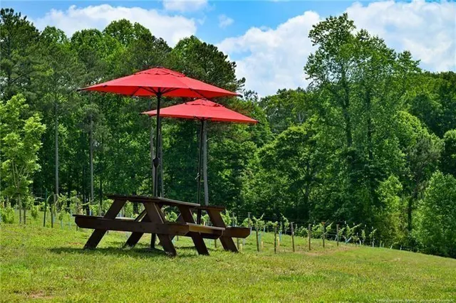 $2,225,000 | 119 Inland Drive, Talking Rock, GA 30175